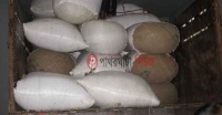 <small>ভ্রাম্যমান আদালত</small>পাথরঘাটায় ৪মন হাঙ্গরের শুটকি জব্দ, ৪জনকে জরিমানা
