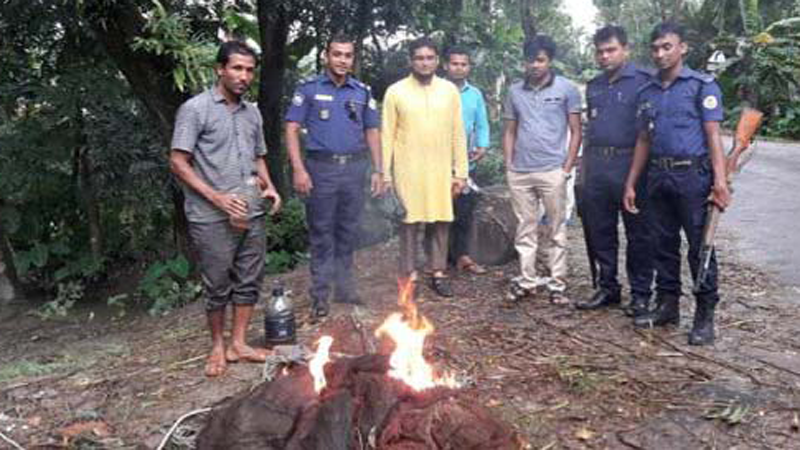 বেতাগীতে ভ্রাম্যমান আদালতে অবৈধ জাল পুরে ফেলা হচ্ছে