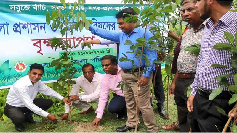 বরগুনা-বরিশাল মহাসড়কে বৃক্ষরোপণ কর্মসূচি উদ্বোধন