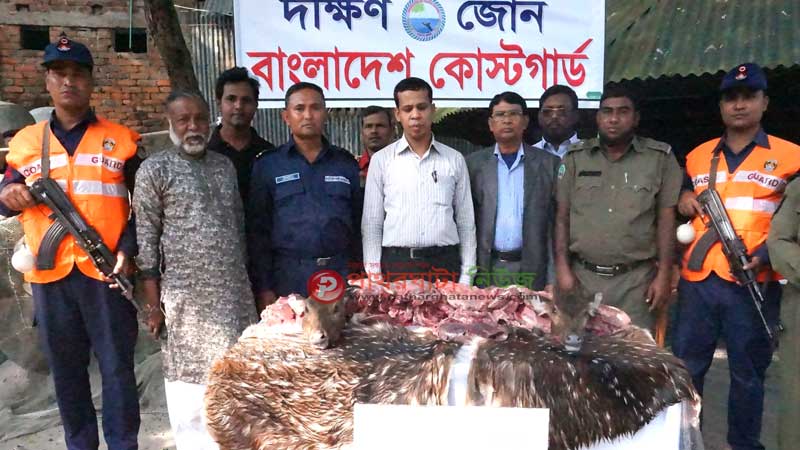 মাথা, চামড়াসহ হরিণের মাংস