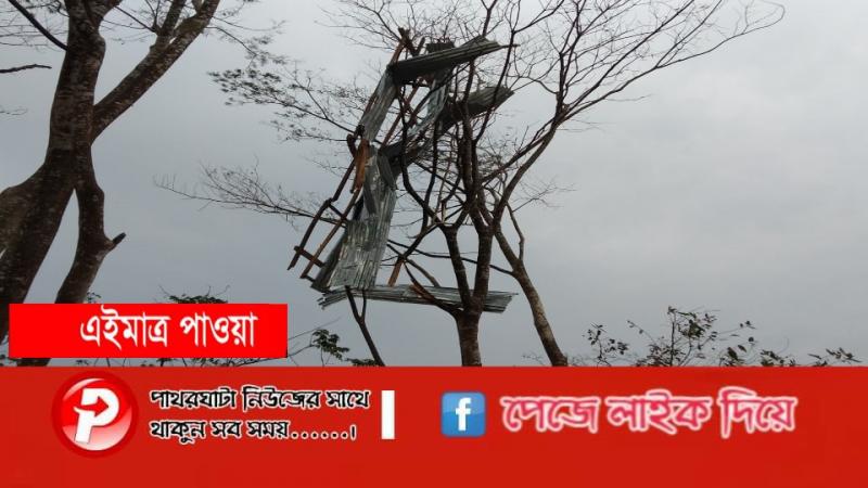 গাছের ডালে টিনের চাল