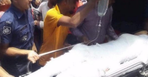 ফেনীর মাদ্রাসাছাত্রী নুসরাত মারা গেছেন।