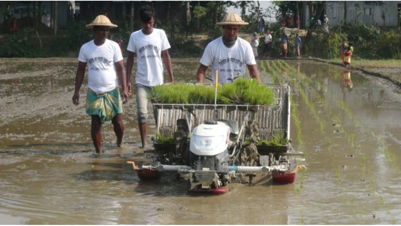 চারা রোপণ, জমি, লাভজনক