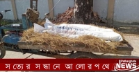কলাপাড়ায় নববধূর মাটিচাপা দেয়া লাশ উদ্ধার