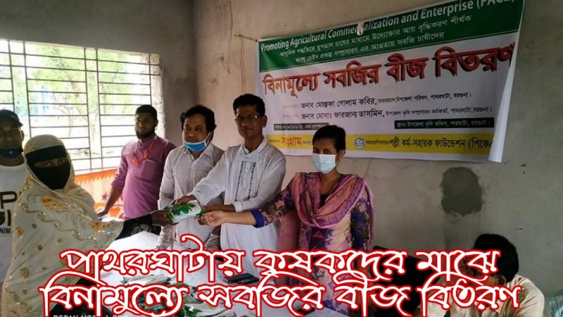 ছবিঃ পাথরঘাটা নিউজ
