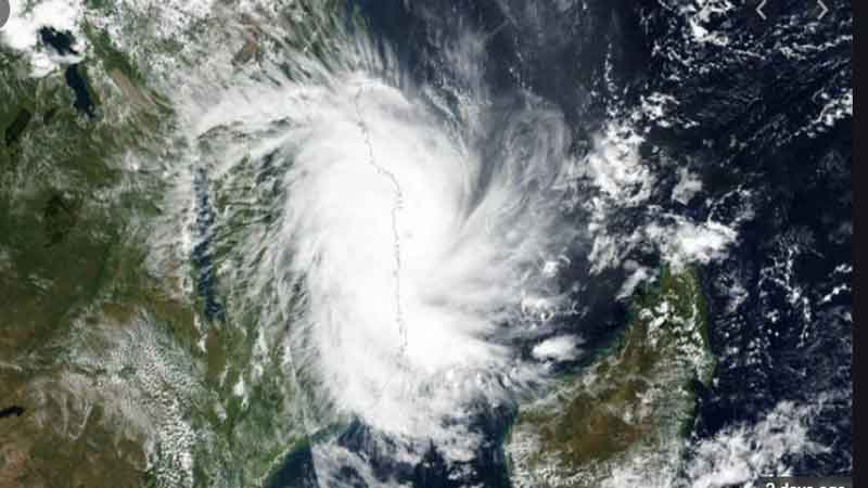 ছবিঃ সংগ্রহীত