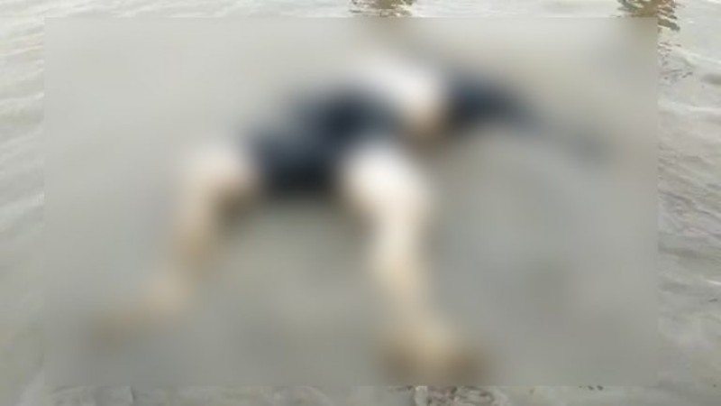 ছবিঃ সংগ্রহীত