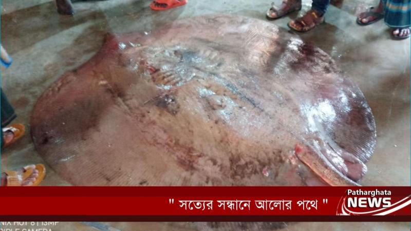 এক মাছের দাম ১ লাখ ১২ হাজার টাকা