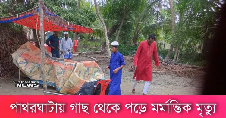গাছের আম আত্মীয়-স্বজনদের দেয়া হলোনা পাথরঘাটার দেলোয়ার হোসেনের
