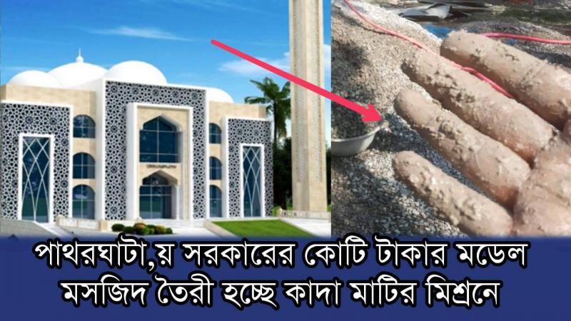 ছবিঃ সংগ্রহীত